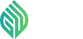 InFi